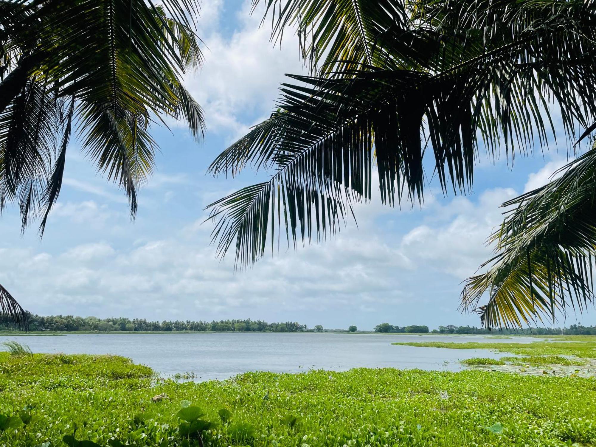 Lakeside Cabana Tissamaharama Ngoại thất bức ảnh